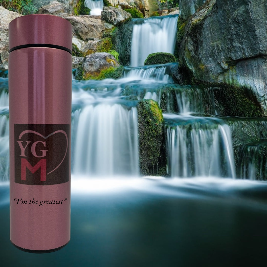 Smart Stainless Steel Thermos Water Bottle Temperature Display Flasks